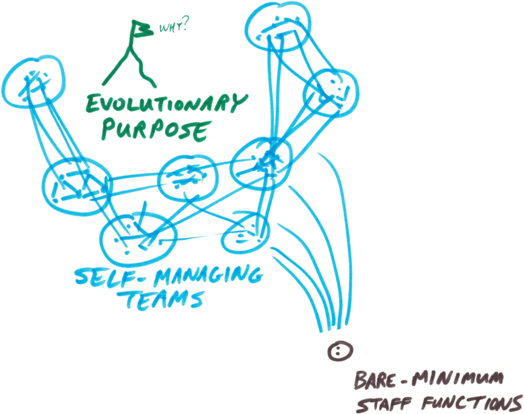 Illustration explaining that People and Teams in Teal are self-managing