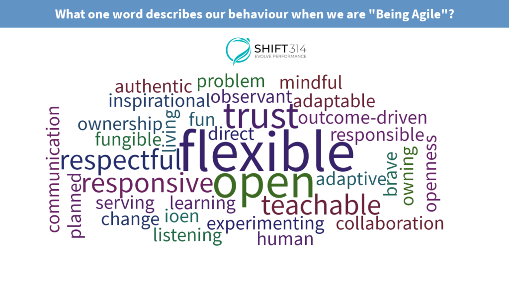word cloud for being agile