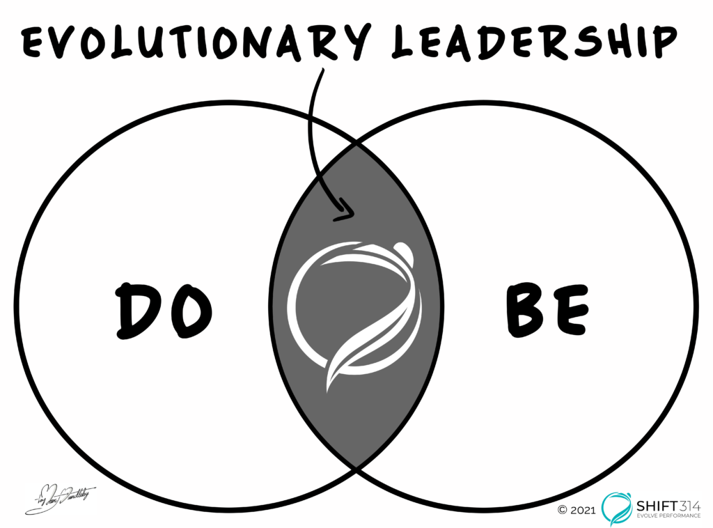 evolutionary leadership diagram