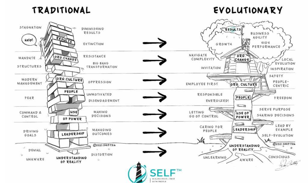 diagram showing the difference between traditional leadership and evolutionary leadership