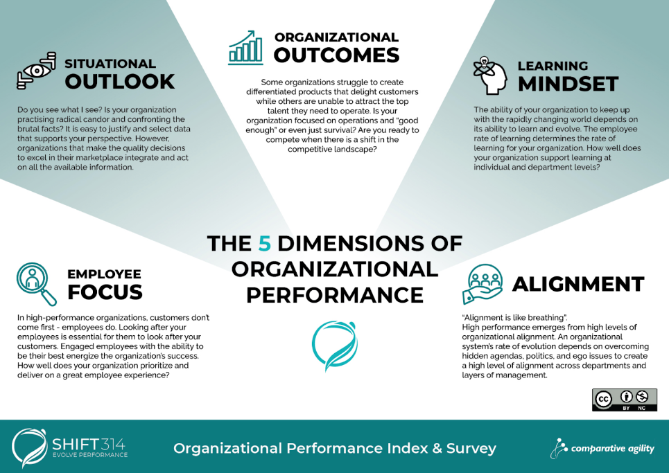 infographic about the 5 dimensions of organizational performance